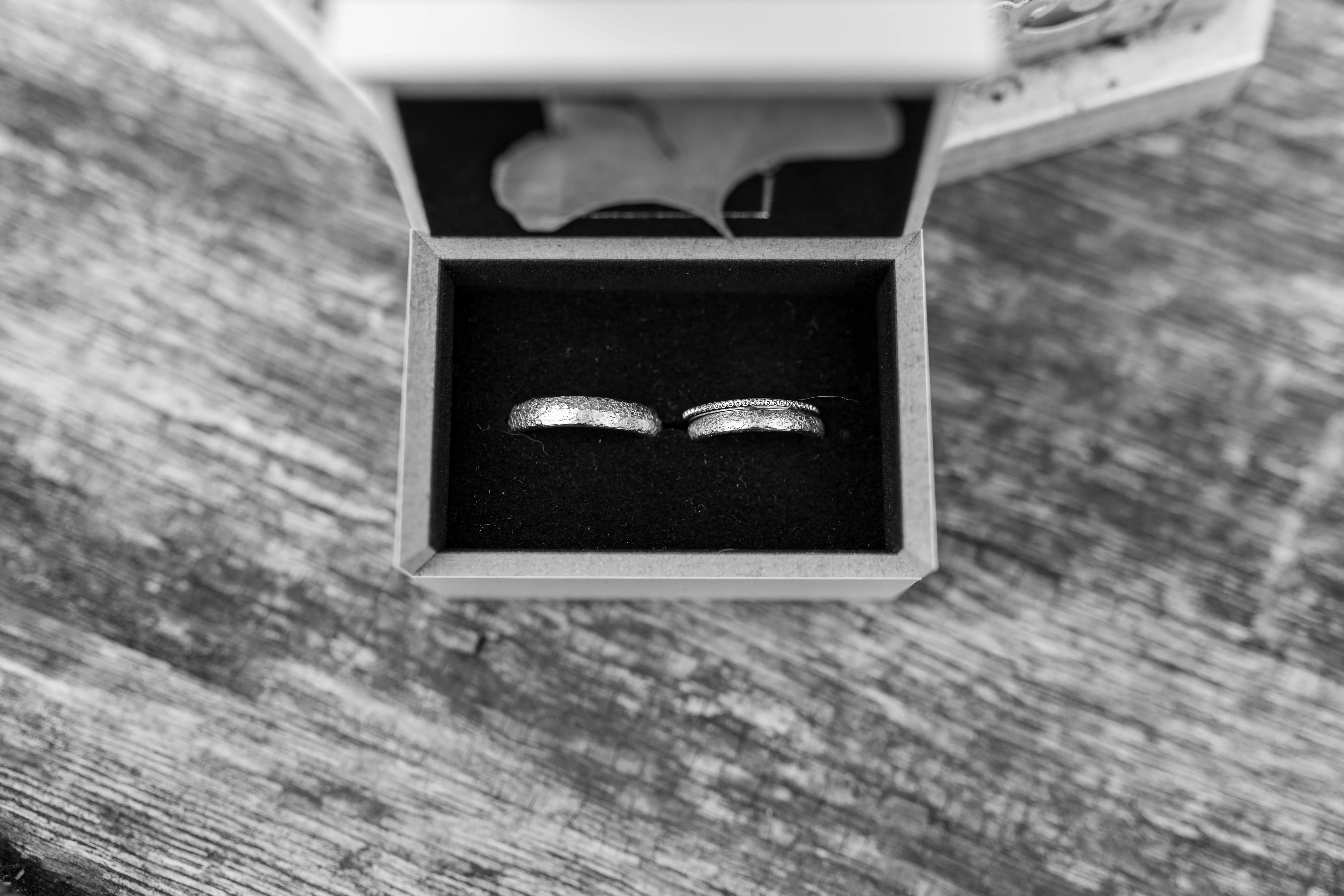 Steve Photography – 27 ergebnis